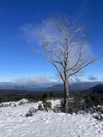 Paisaje nevado